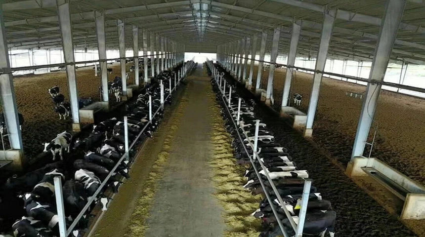 cow-shed.jpg
