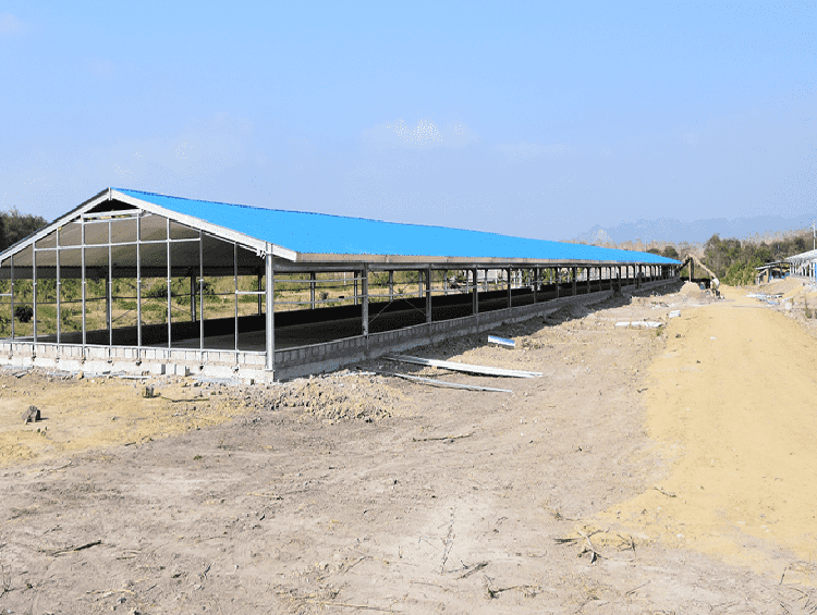 Galvanized Broiler Chicken House