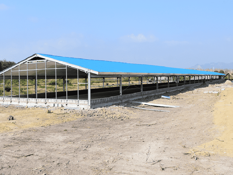 Cattle Farm Poultry Building