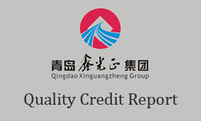 Enterprise quality credit report